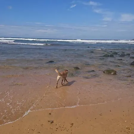 Casa Maria Vut 5614 As Apartmán